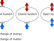 Synchronicity