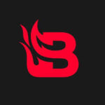 Blaze party